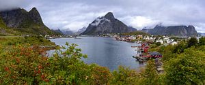 Die Lofoten Inseln Norwegen