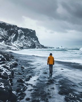 Winter in IJsland van fernlichtsicht