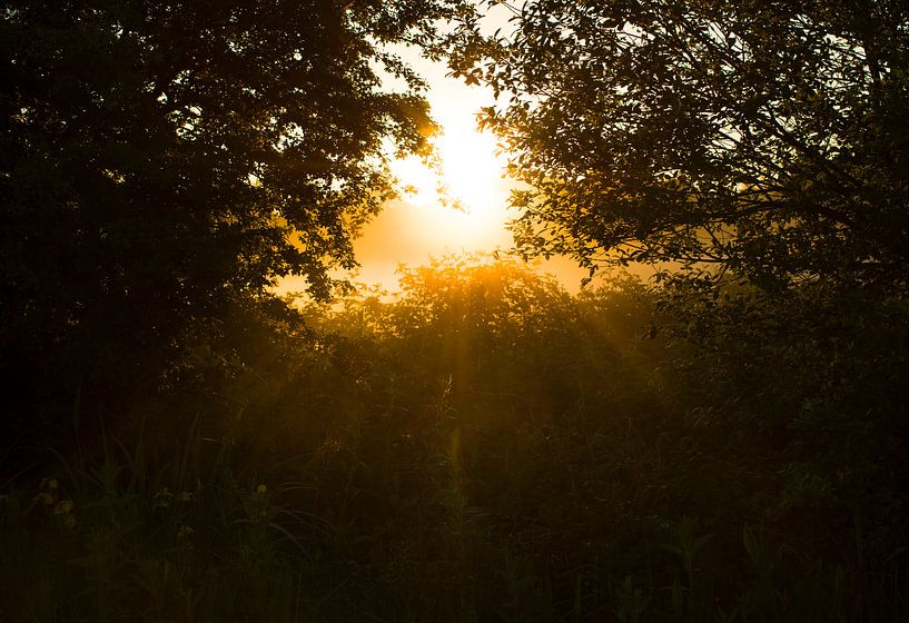 Doorkijkje bij zonsopkomst van Marcel Kerdijk