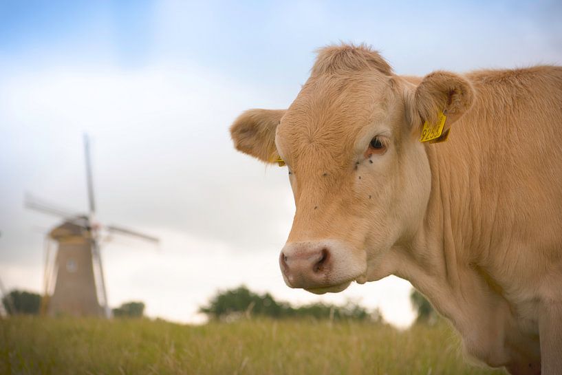 Dutch windmill with cow by Jolanda van Straaten