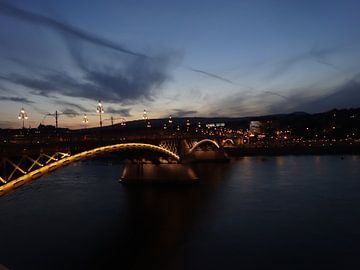 stad Boedapest nachtfoto 