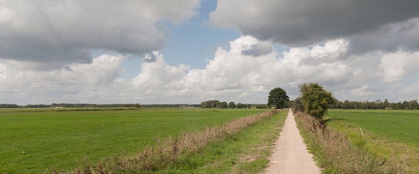 Drachtster Straßenbahn von Richard Wareham