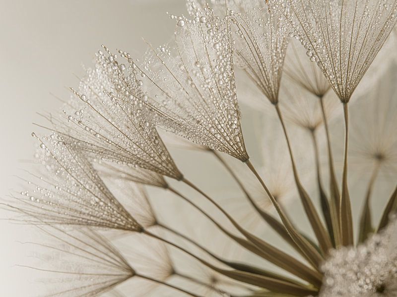 Simple calm: warm brown tones of a small piece of nature by Marjolijn van den Berg