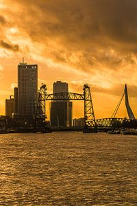Golden city