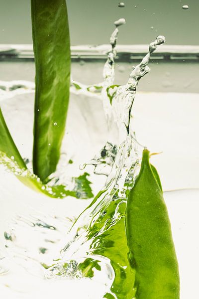Suikererwten vallen in het water 1 van Marc Heiligenstein