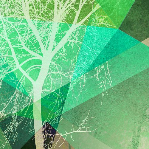 P22-B3 TREES AND TRIANGLES