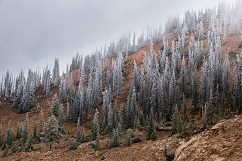 Der erste Schnee auf dem Monarch Pass