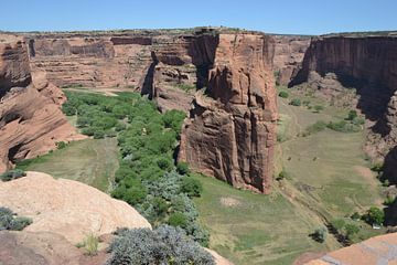 Canyon de Chelly van Bernard van Zwol