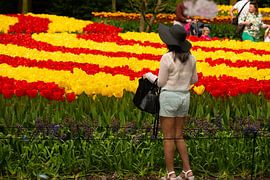Keukenhof Tulipfield by Brian Morgan