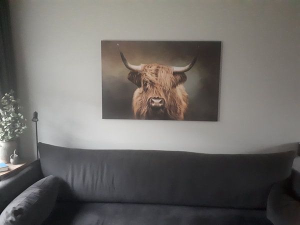 Customer photo: Scottish Highland Cow by Diana van Tankeren, on canvas