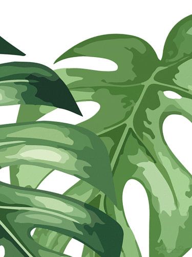 Monstera op wit – drieluik (3 van 3)