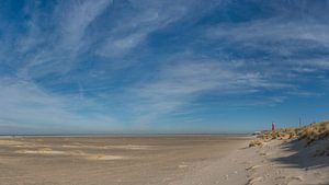 Eierland-Leuchtturm Texel neue Dünen