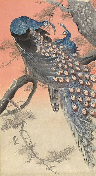 Twee pauwen op boomtak, Ohara Koson - ca. 1900 van Het Archief