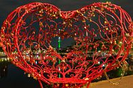 Het meest liefdevolle bankje van Rotterdam van Capture the Moment 010 thumbnail