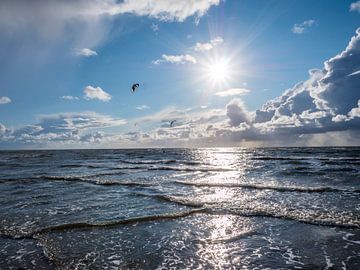 Wellen mit Sonne an der Nordsee von Animaflora PicsStock