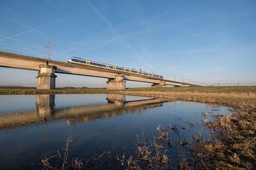 Trein von Moetwil en van Dijk - Fotografie