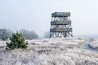uitkijktoren Aekingerzand in het Drents Friese Wold in Drenthe bij Appelscha bij de Kale Duinen