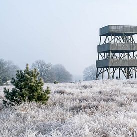 uitkijktoren Aekingerzand in het Drents Friese Wold in Drenthe bij Appelscha bij de Kale Duinen van Robin Verhoef