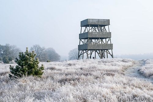 uitkijktoren Aekingerzand in het Drents Friese Wold in Drenthe bij Appelscha bij de Kale Duinen van Robin Verhoef