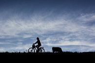 Cyclist in silhouette by Arjen Roos thumbnail
