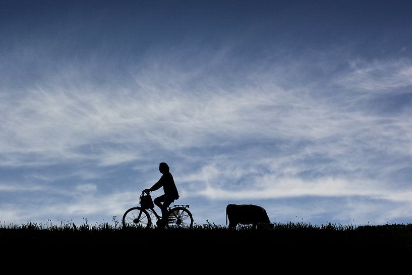 Cyclist in silhouette by Arjen Roos