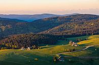 Landschaft mit Bauernhäusern  im Schwarzwald von Werner Dieterich Miniaturansicht