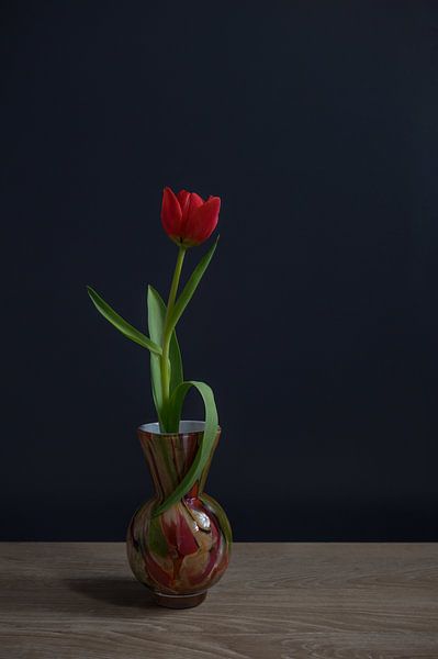 Nature morte d'une tulipe rouge dans un vase par John van de Gazelle fotografie
