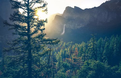 Ochtendlicht van Loris Photography