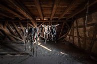 Harnais de cheval dans le grenier par Inge van den Brande Aperçu