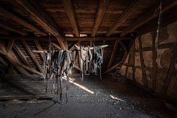 Paardentuig, zadel, halster op zolder van Inge van den Brande