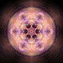 Pink Mandala by Sabine Wagner thumbnail