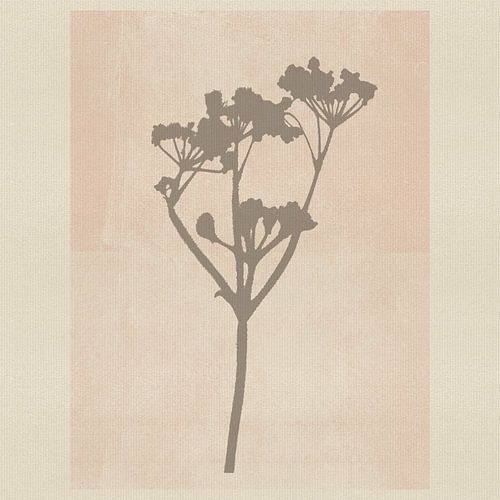 Minimalistisch botanisch in taupe, zachtroze en wit