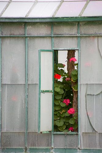 De Koninklijke Serres