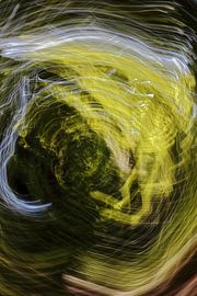 Daylight Camera Toss 5 by arte factum berlin