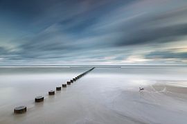 T van Rafal R. Nebelski