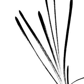 Grappes de raisin bleu en noir et blanc sur Caroline Guerain