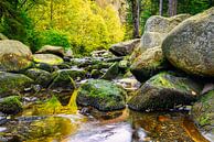 Autumn landscape with the Oker river and Engagement island in the Harz Mountains, Germany by Andreas Völkel thumbnail