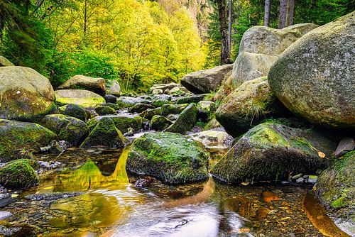 Herfstlandschap met de Oker rivier en Engagement eiland in het Harz gebergte, Duitsland
