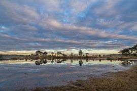 Putse Moer in de Kalmthoutse Heide