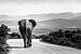 Elefant überquert die Straße von Carmen de Bruijn