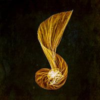 Gold note