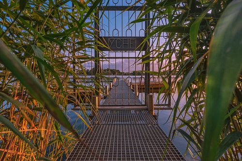 The evening in the reeds