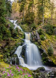 Triberg waterfalls by Hans-Bernd Lichtblau