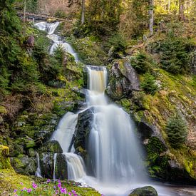 Triberg watervallen van Hans-Bernd Lichtblau
