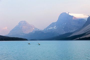 Kajakkers op Bow Lake Canada van Nathan Marcusse