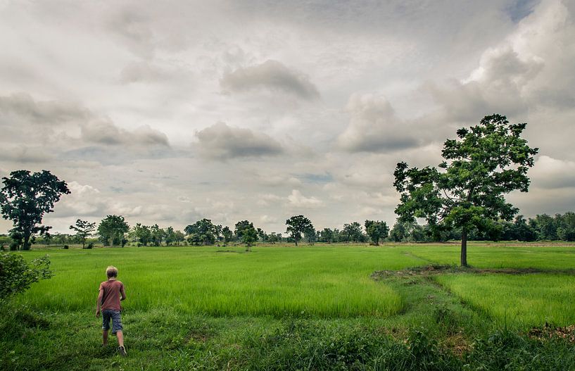 Sukhothai rijstvelden in Thailand van Sven Wildschut