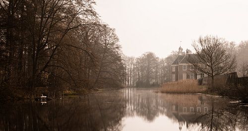 Een zwaan op het nest bij Huize Den Berg in Dalfsen