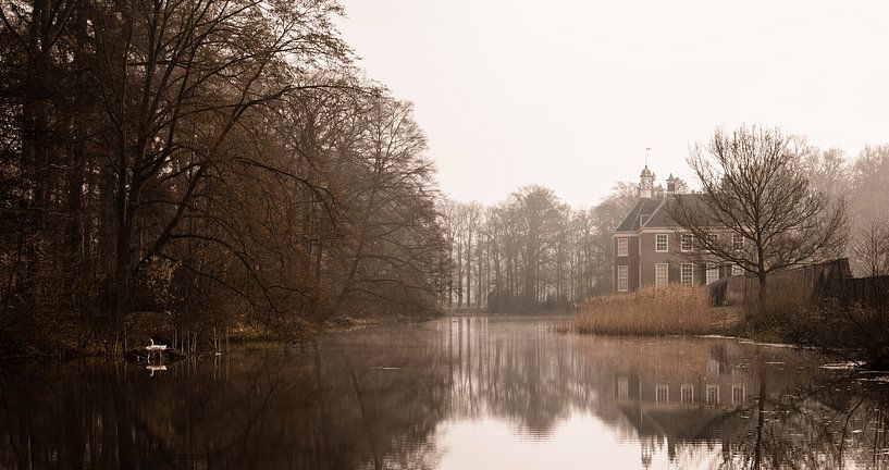 Ein Schwan auf dem Nest bei Huize Den Berg in Dalfsen von Marloes ten Brinke