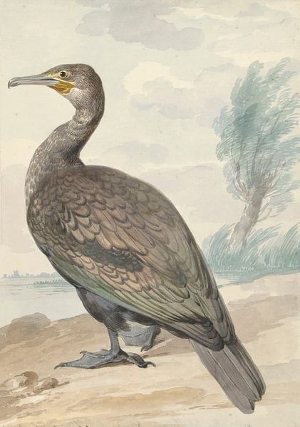 Kormoran, Aert Schouman von Meisterhafte Meister