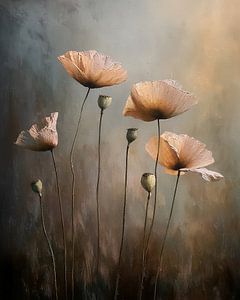 Mohnblumen im Licht